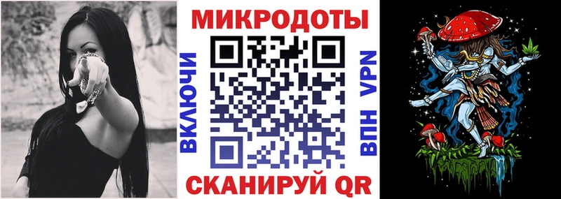 Галлюциногенные грибы Psilocybine cubensis  Новокубанск 